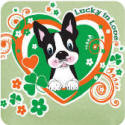 Lucky in Love - 40 plus Breeds