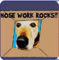 Nose Work Rocks!!
